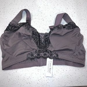NWT Curve Muse Bra